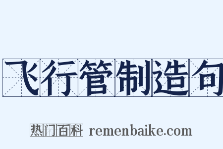 飞行管制造句是什么意思的图片
